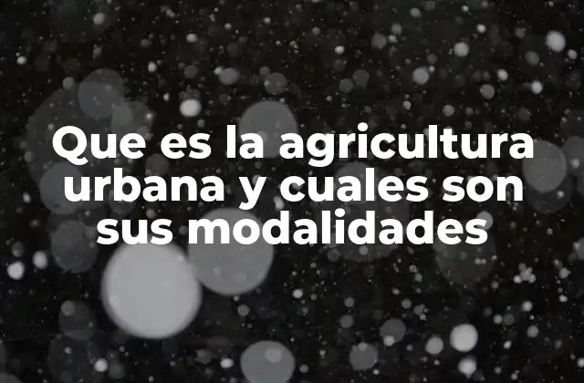 Que es la Agricultura Urbana y Cuales Son Sus Modalidades