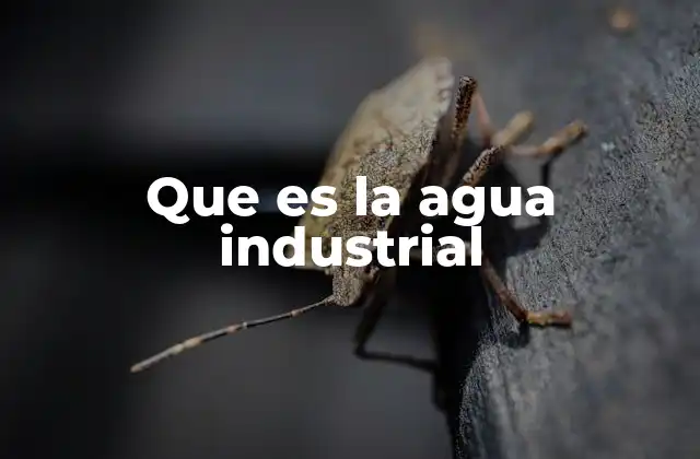 Que es la Agua Industrial 2 El agua en la industria: un recurso estratégico