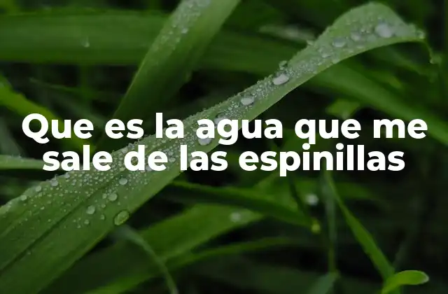 Que es la Agua que Me Sale de las Espinillas