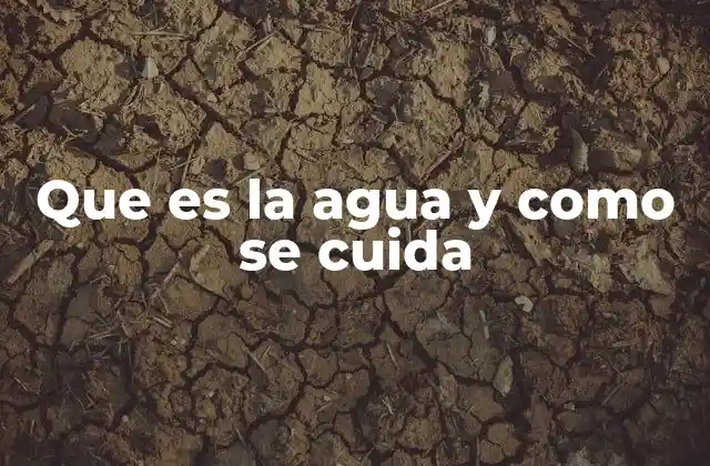 Que es la Agua y como Se Cuida 2 La importancia del agua en la vida terrestre