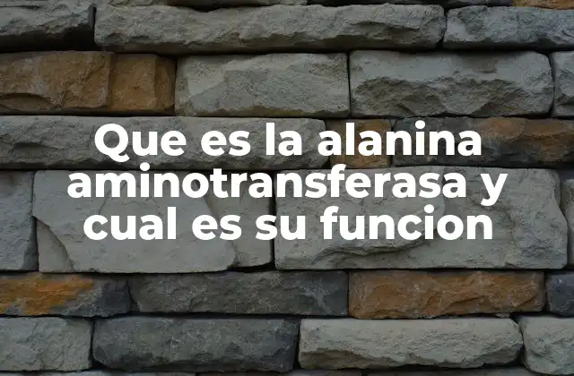 Que es la Alanina Aminotransferasa y Cual es Su Funcion