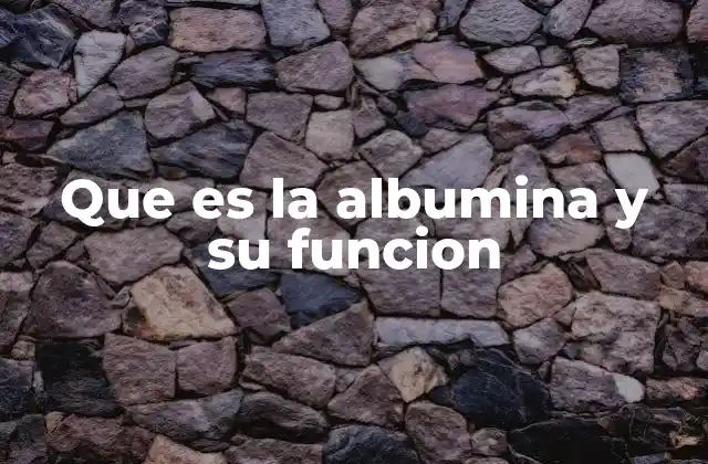 Que es la Albumina y Su Funcion