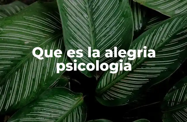 Que es la Alegria Psicologia