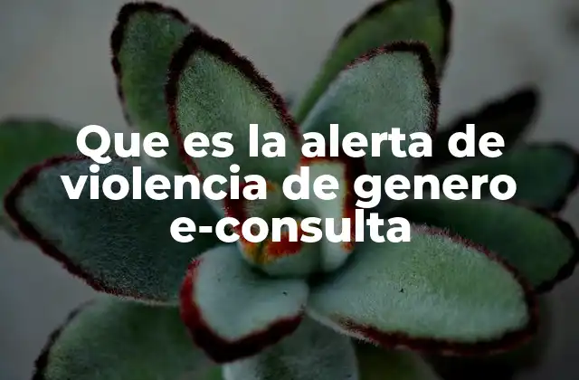 Que es la Alerta de Violencia de Genero E-consulta