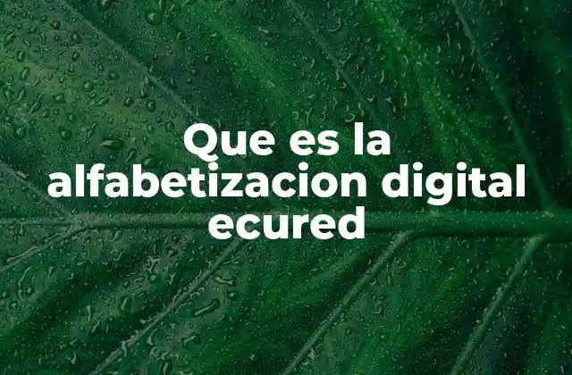La importancia de la alfabetización digital en la educación actual