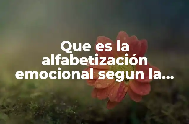 Que es la Alfabetización Emocional Segun la Psicologia