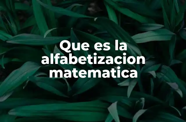 Que es la Alfabetizacion Matematica 2 La importancia de las matemáticas en la vida cotidiana