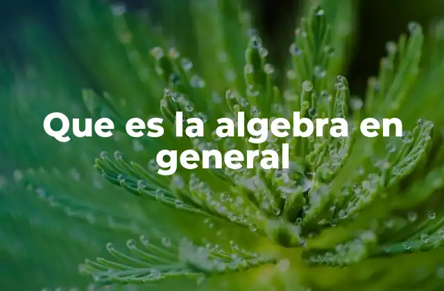 Que es la Algebra en General