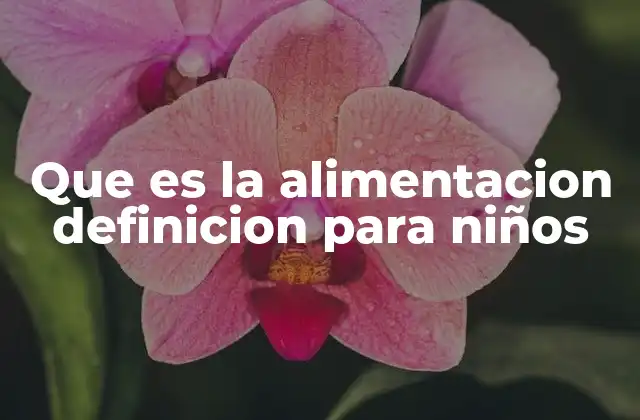 Que es la Alimentacion Definicion para Niños