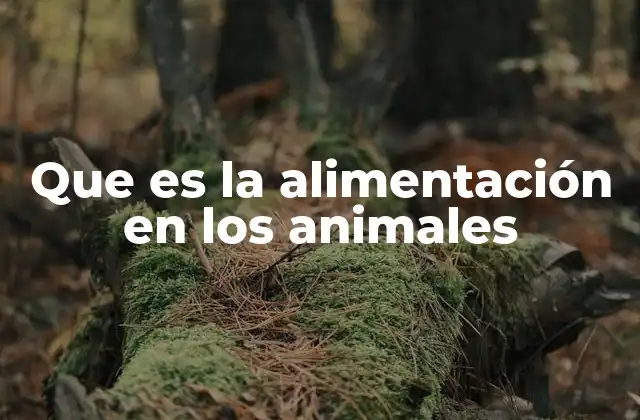 Que es la Alimentación en los Animales