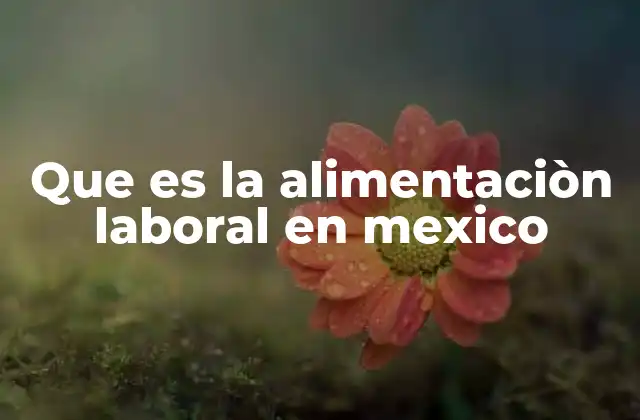 Que es la Alimentaciòn Laboral en Mexico