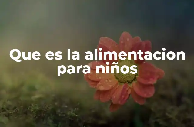 Que es la Alimentacion para Niños