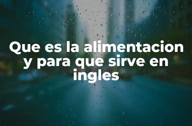 Que es la Alimentacion y para que Sirve en Ingles
