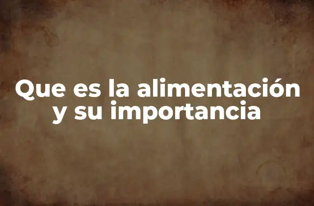 Que es la Alimentación y Su Importancia 2 La base del bienestar físico y emocional