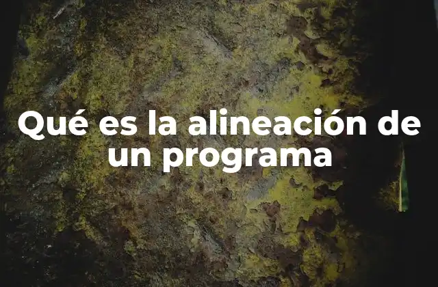 Qué es la Alineación de un Programa