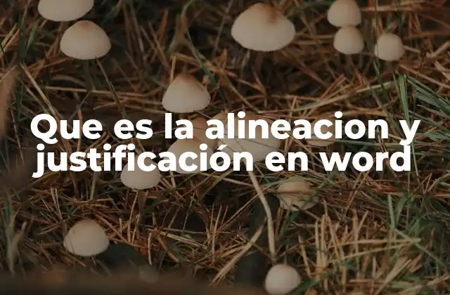 Que es la Alineacion y Justificación en Word