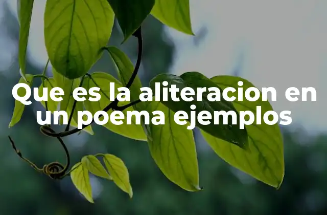 Que es la Aliteracion en un Poema Ejemplos