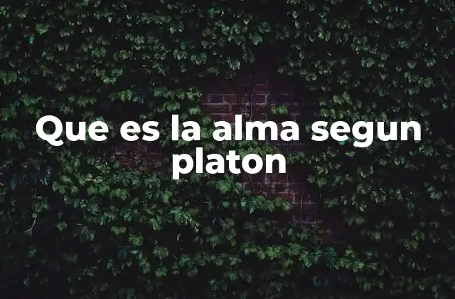 Que es la Alma Segun Platon
