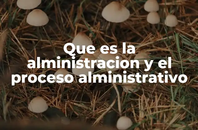 Que es la Alministracion y el Proceso Alministrativo