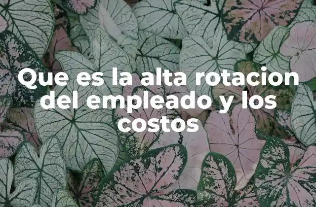 Que es la Alta Rotacion Del Empleado y los Costos