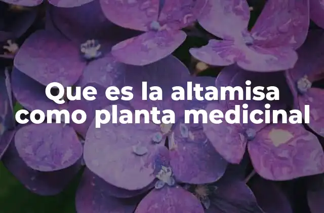La altamisa en la medicina tradicional y natural