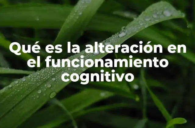 Cómo se manifiesta una disfunción cognitiva sin mencionar directamente la palabra clave