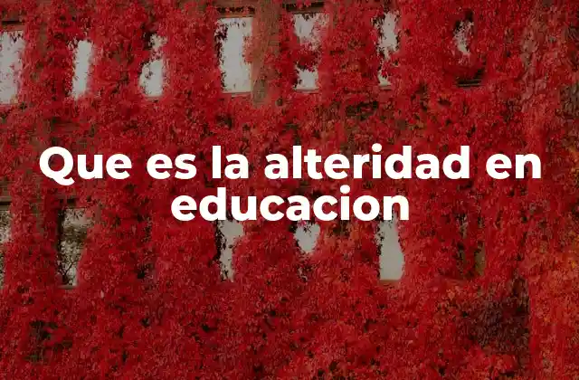 Que es la Alteridad en Educacion