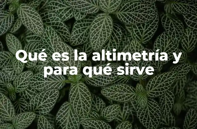 Qué es la Altimetría y para Qué Sirve