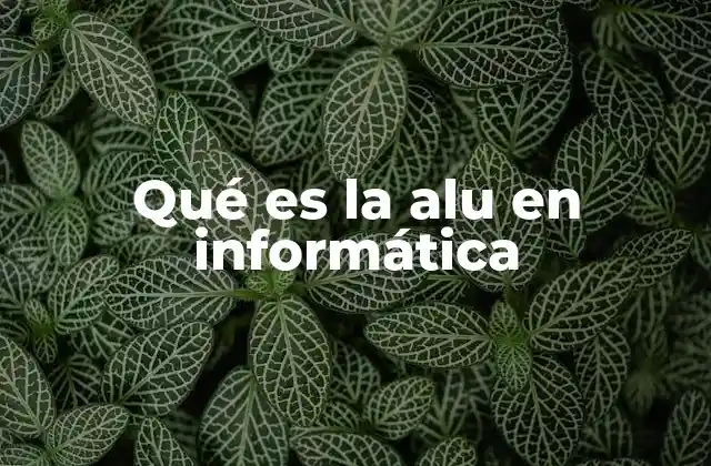 Qué es la Alu en Informática