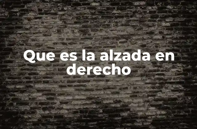 El recurso de alzada como mecanismo de control judicial