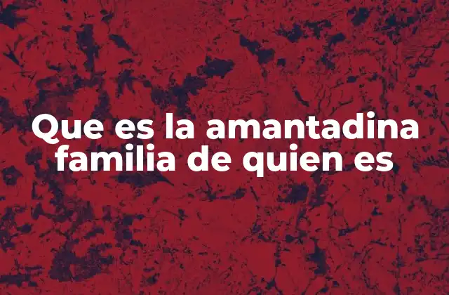 Que es la Amantadina Familia de Quien es