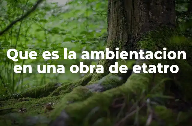 Que es la Ambientacion en una Obra de Etatro
