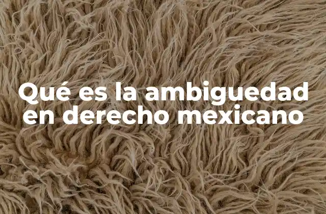Qué es la Ambiguedad en Derecho Mexicano