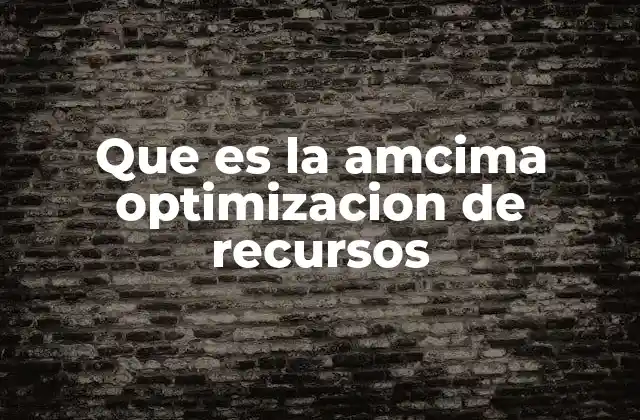 Que es la Amcima Optimizacion de Recursos