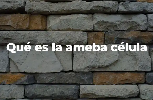 Qué es la Ameba Célula