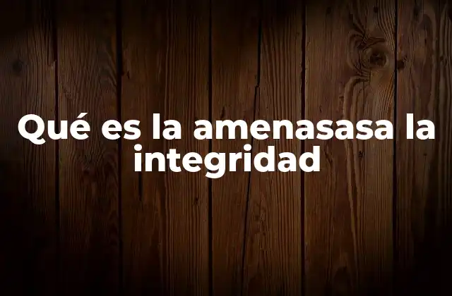 Qué es la Amenasasa la Integridad