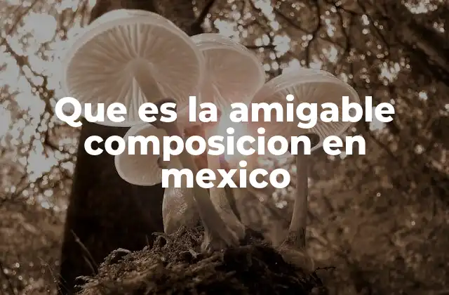 Que es la Amigable Composicion en Mexico