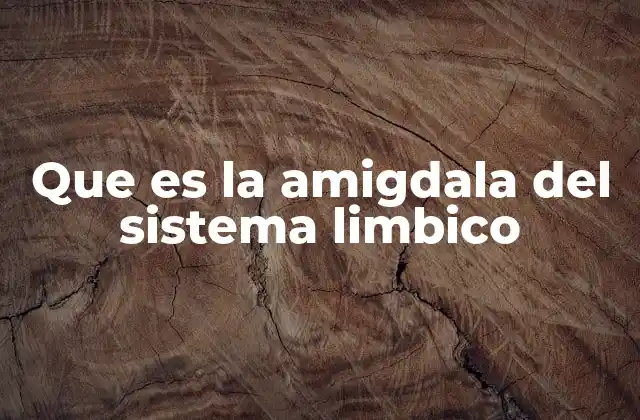 Que es la Amigdala Del Sistema Limbico