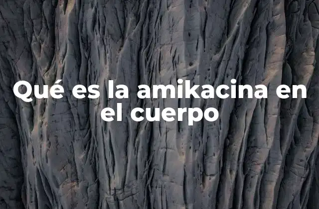 Qué es la Amikacina en el Cuerpo