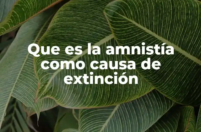 Que es la Amnistía como Causa de Extinción