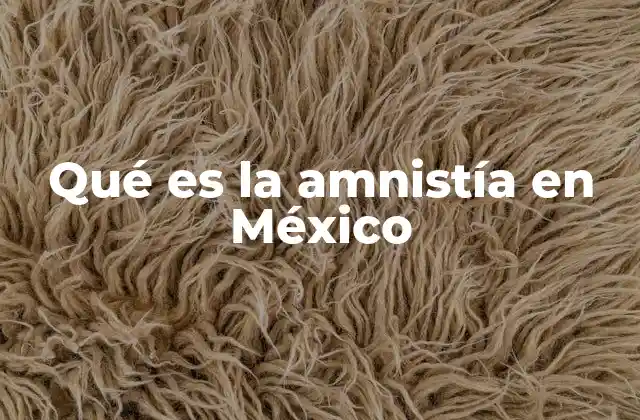 Qué es la Amnistía en México