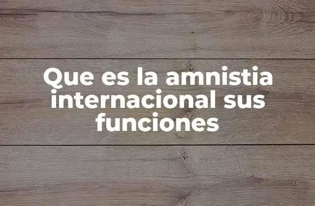 Que es la Amnistia Internacional Sus Funciones