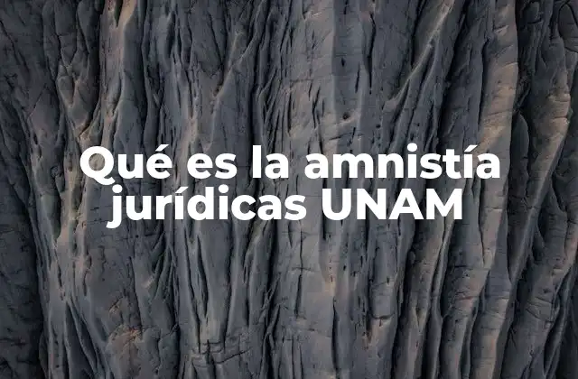 Qué es la Amnistía Jurídicas Unam