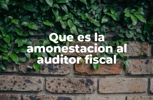 Que es la Amonestacion Al Auditor Fiscal