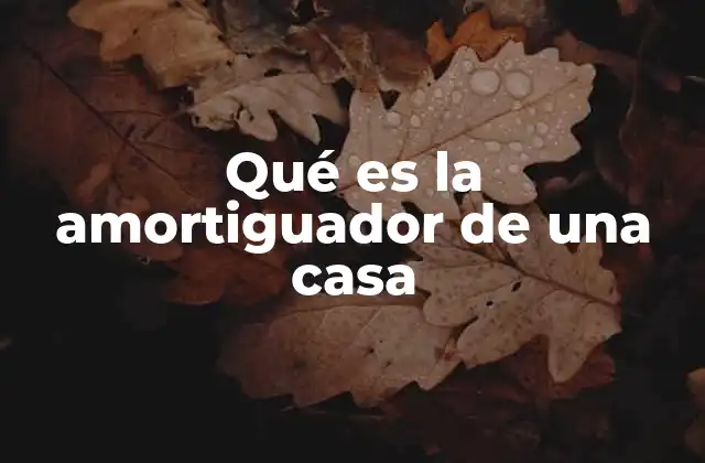 Qué es la Amortiguador de una Casa
