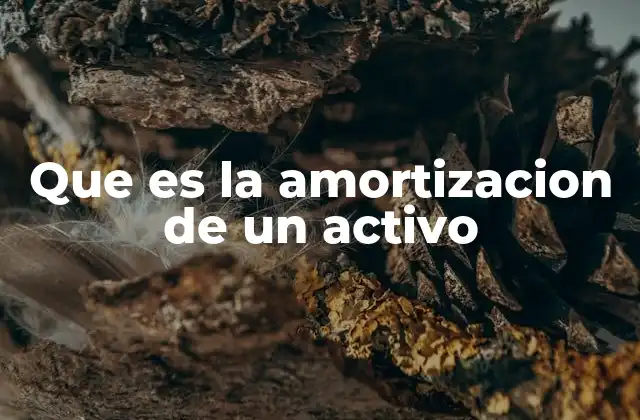 Que es la Amortizacion de un Activo