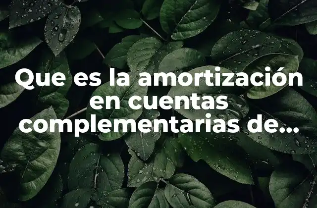 Que es la Amortización en Cuentas Complementarias de Archivo Concepto