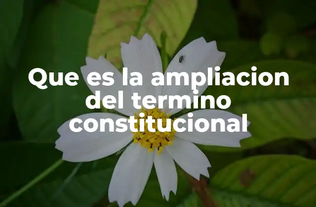 Que es la Ampliacion Del Termino Constitucional