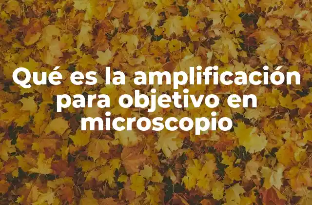 Qué es la Amplificación para Objetivo en Microscopio