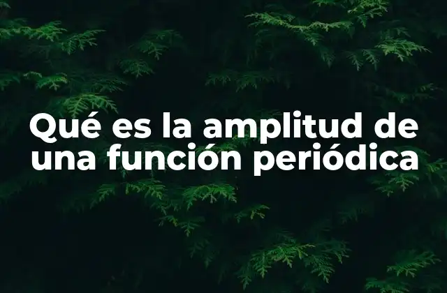 Qué es la Amplitud de una Función Periódica 2 Cómo se interpreta la amplitud en las funciones periódicas